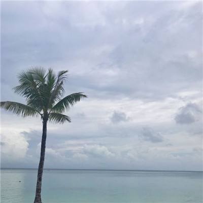 塔防名将传手游下载